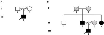 Identification of NF1 Frameshift Variants in Two Chinese Families With Neurofibromatosis Type 1 and Early-Onset Hypertension